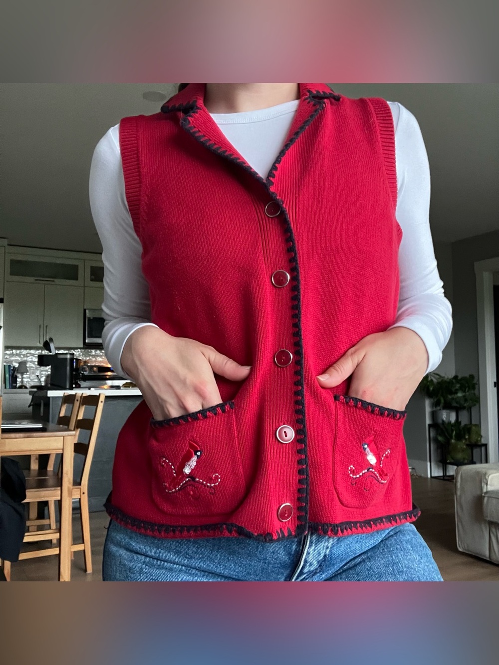 Vintage Northern Reflections Knit Vest